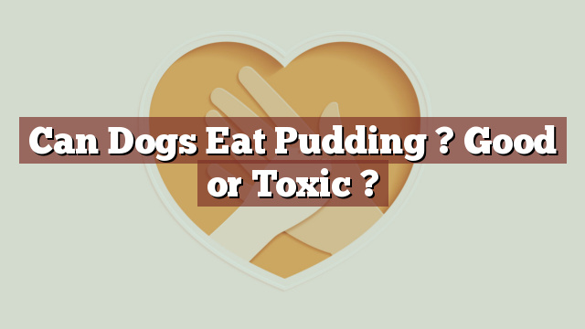 Can Dogs Eat Pudding ? Good or Toxic ?