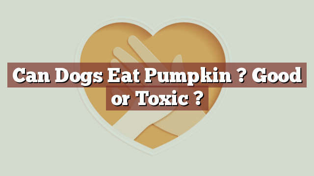 Can Dogs Eat Pumpkin ? Good or Toxic ?