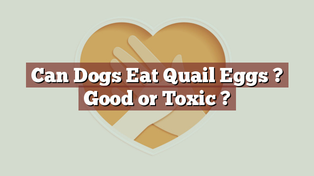 Can Dogs Eat Quail Eggs ? Good or Toxic ?