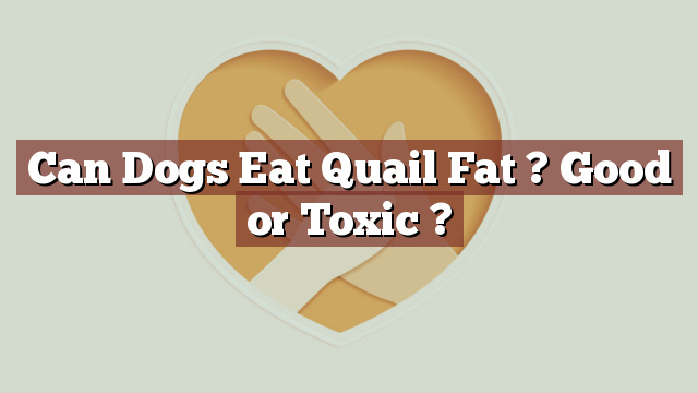 Can Dogs Eat Quail Fat ? Good or Toxic ?