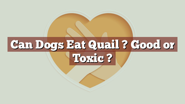 Can Dogs Eat Quail ? Good or Toxic ?