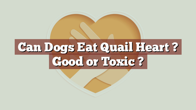 Can Dogs Eat Quail Heart ? Good or Toxic ?