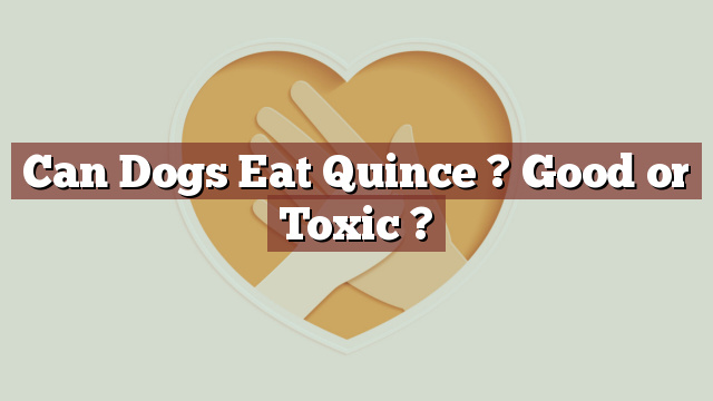 Can Dogs Eat Quince ? Good or Toxic ?