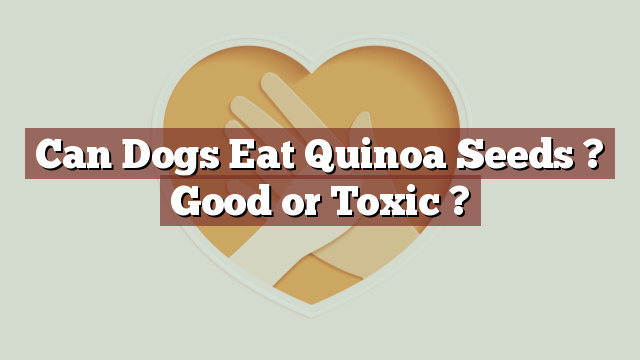 Can Dogs Eat Quinoa Seeds ? Good or Toxic ?