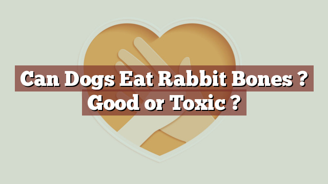 Can Dogs Eat Rabbit Bones ? Good or Toxic ?