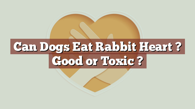 Can Dogs Eat Rabbit Heart ? Good or Toxic ?