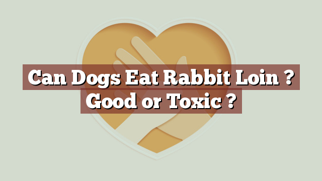 Can Dogs Eat Rabbit Loin ? Good or Toxic ?