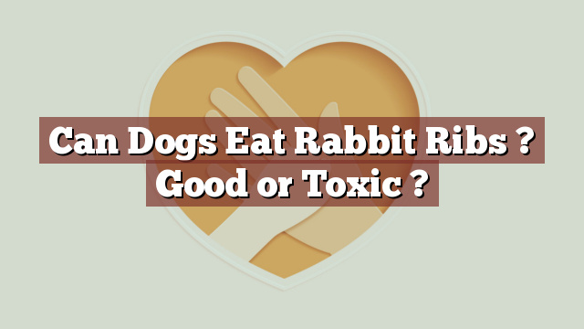 Can Dogs Eat Rabbit Ribs ? Good or Toxic ?