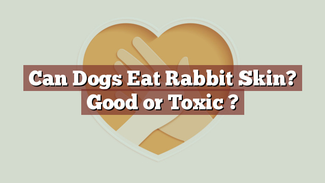 Can Dogs Eat Rabbit Skin? Good or Toxic ?