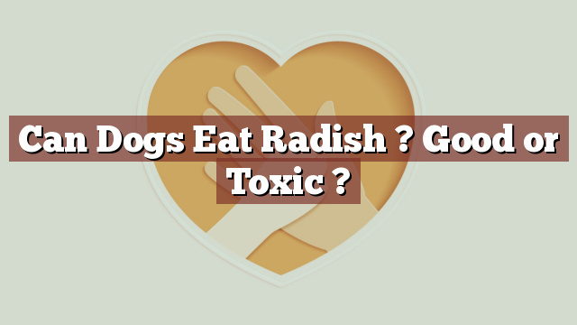 Can Dogs Eat Radish ? Good or Toxic ?