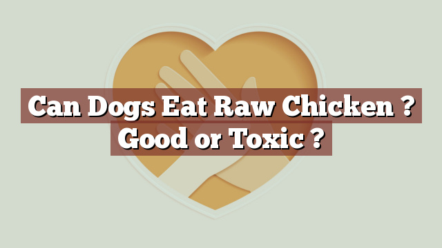 Can Dogs Eat Raw Chicken ? Good or Toxic ?