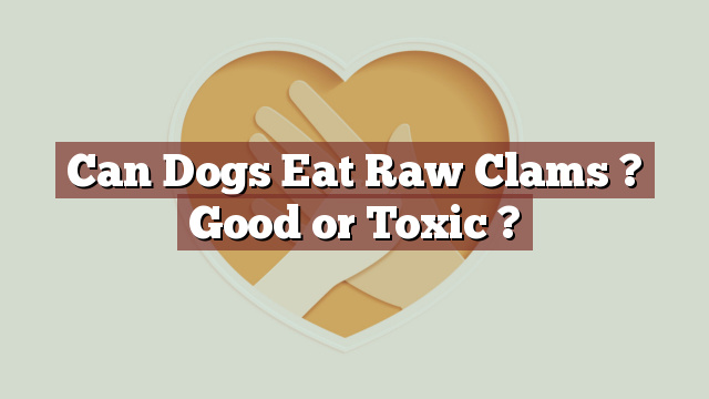 Can Dogs Eat Raw Clams ? Good or Toxic ?