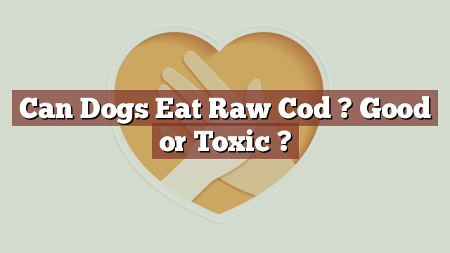 Can Dogs Eat Raw Cod ? Good or Toxic ?