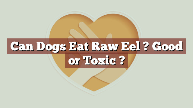 Can Dogs Eat Raw Eel ? Good or Toxic ?