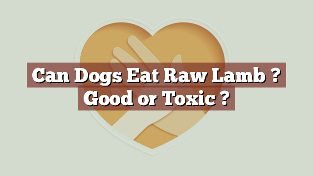 Can Dogs Eat Raw Lamb ? Good or Toxic ?