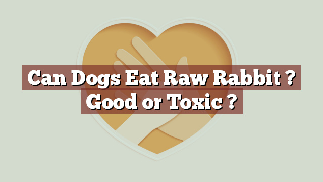 Can Dogs Eat Raw Rabbit ? Good or Toxic ?