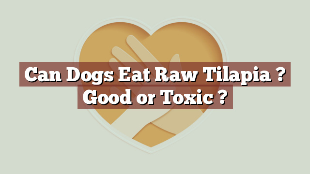 Can Dogs Eat Raw Tilapia ? Good or Toxic ?