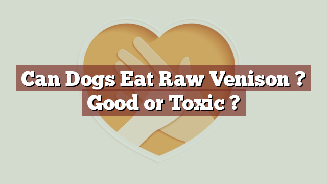 Can Dogs Eat Raw Venison ? Good or Toxic ?