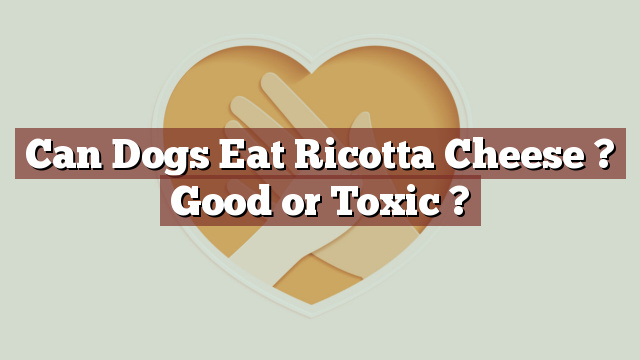 Can Dogs Eat Ricotta Cheese ? Good or Toxic ?