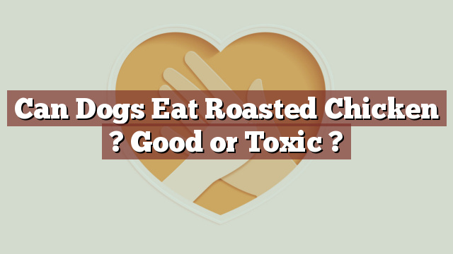 Can Dogs Eat Roasted Chicken ? Good or Toxic ?
