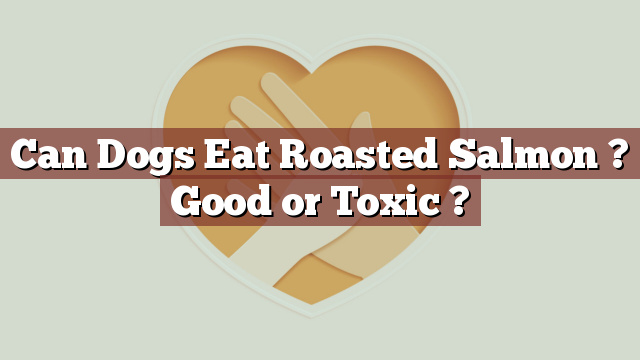 Can Dogs Eat Roasted Salmon ? Good or Toxic ?