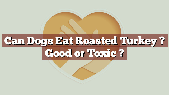 Can Dogs Eat Roasted Turkey ? Good or Toxic ?