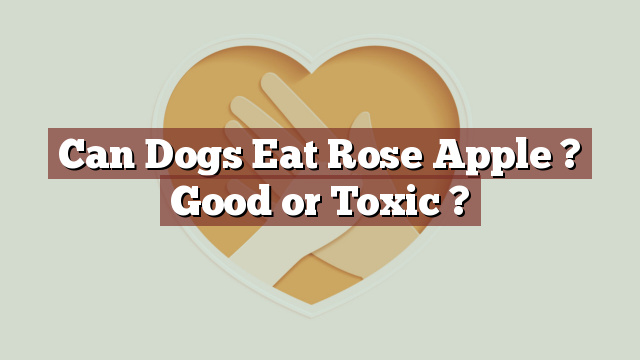 Can Dogs Eat Rose Apple ? Good or Toxic ?