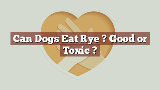 Can Dogs Eat Rye ? Good or Toxic ?