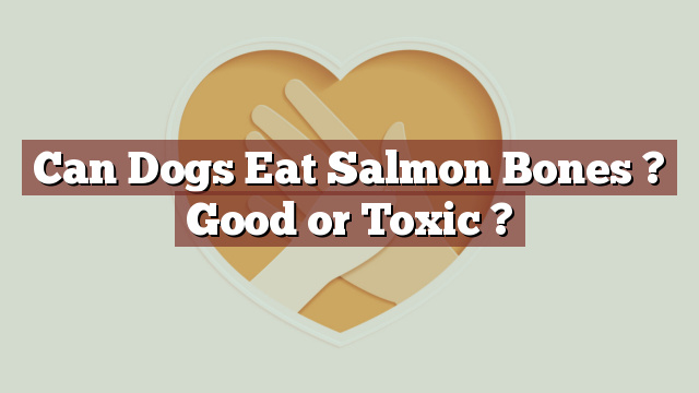 Can Dogs Eat Salmon Bones ? Good or Toxic ?