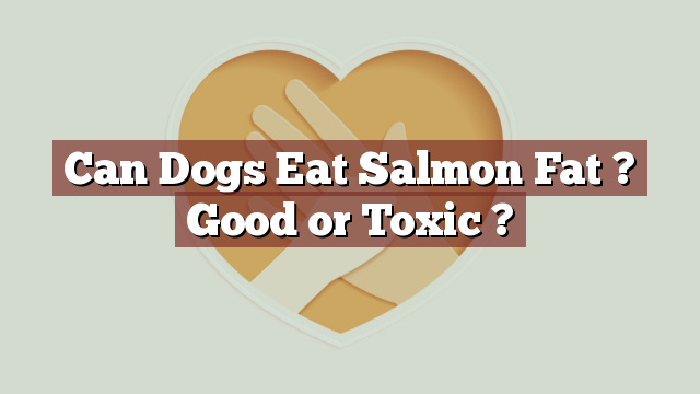 Can Dogs Eat Salmon Fat ? Good or Toxic ?