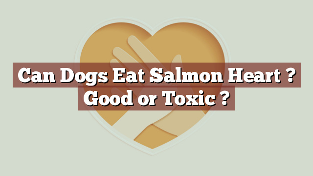 Can Dogs Eat Salmon Heart ? Good or Toxic ?