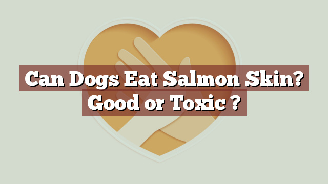 Can Dogs Eat Salmon Skin? Good or Toxic ?