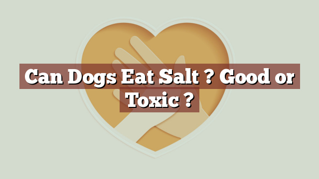 Can Dogs Eat Salt ? Good or Toxic ?