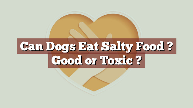 Can Dogs Eat Salty Food ? Good or Toxic ?