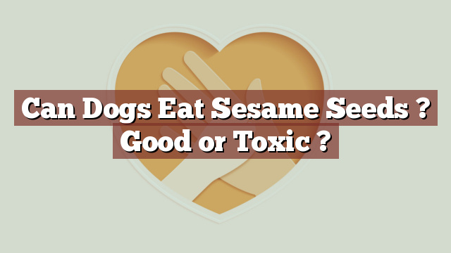 Can Dogs Eat Sesame Seeds ? Good or Toxic ?
