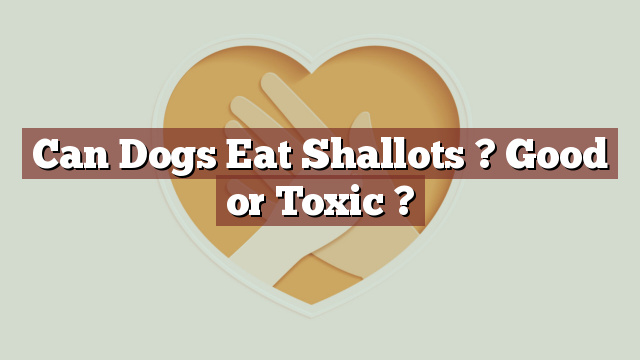 Can Dogs Eat Shallots ? Good or Toxic ?