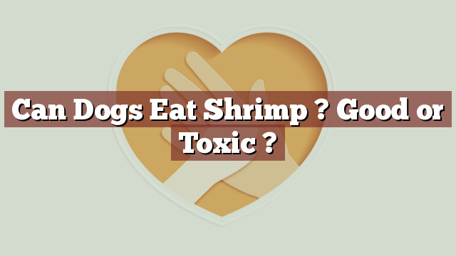 Can Dogs Eat Shrimp ? Good or Toxic ?