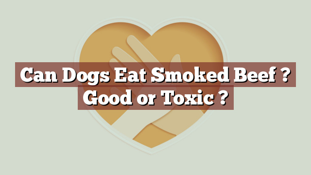 Can Dogs Eat Smoked Beef ? Good or Toxic ?