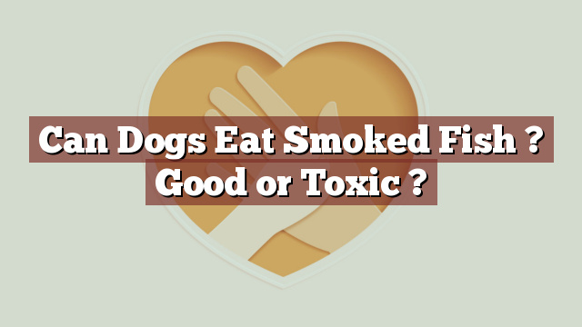 Can Dogs Eat Smoked Fish ? Good or Toxic ?