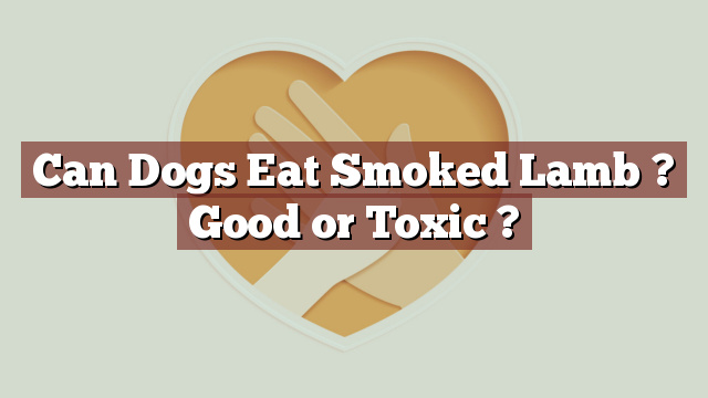 Can Dogs Eat Smoked Lamb ? Good or Toxic ?