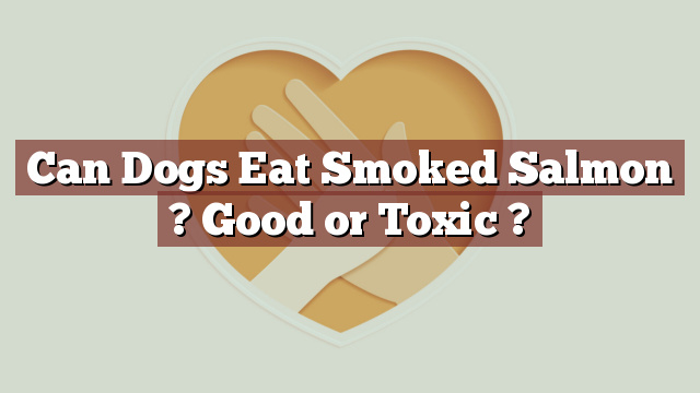 Can Dogs Eat Smoked Salmon ? Good or Toxic ?