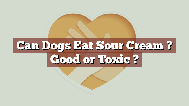 Can Dogs Eat Sour Cream ? Good or Toxic ?