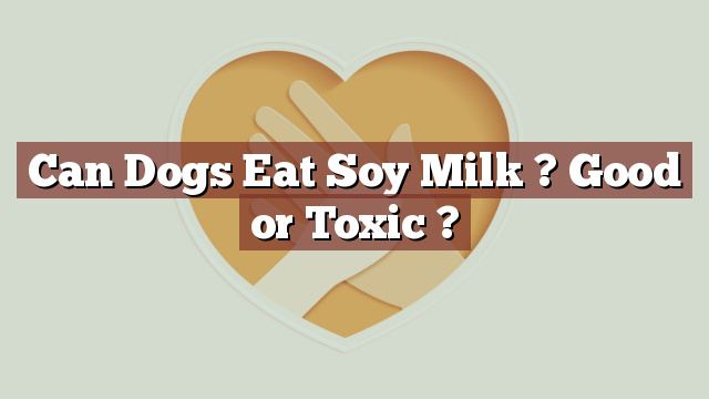 Can Dogs Eat Soy Milk ? Good or Toxic ?