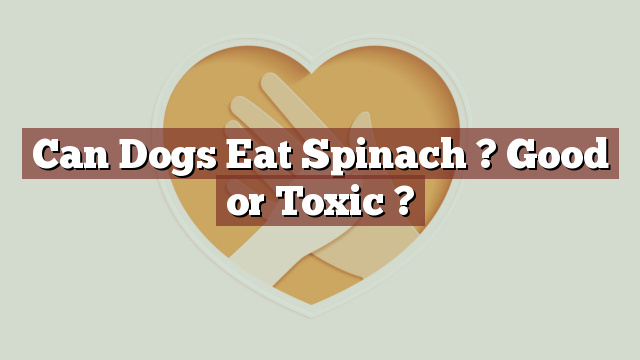 Can Dogs Eat Spinach ? Good or Toxic ?