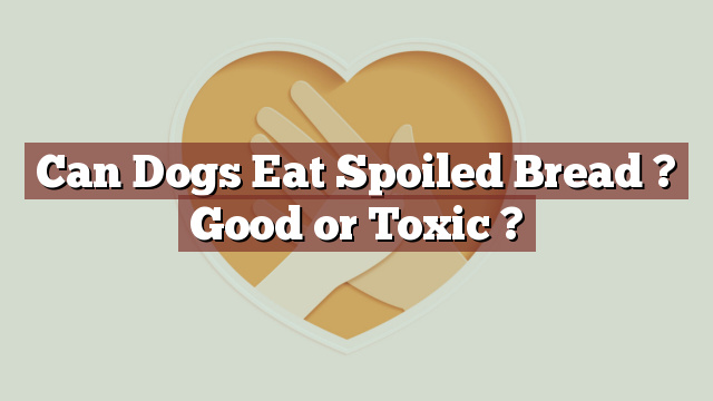 Can Dogs Eat Spoiled Bread ? Good or Toxic ?