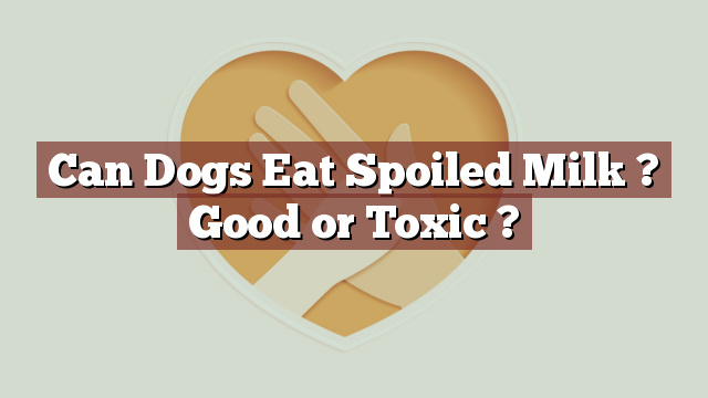 Can Dogs Eat Spoiled Milk ? Good or Toxic ?