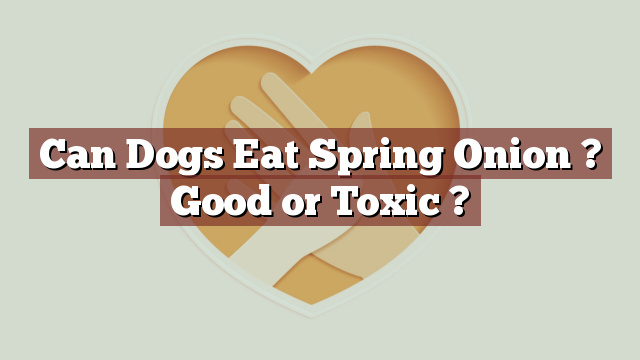 Can Dogs Eat Spring Onion ? Good or Toxic ?