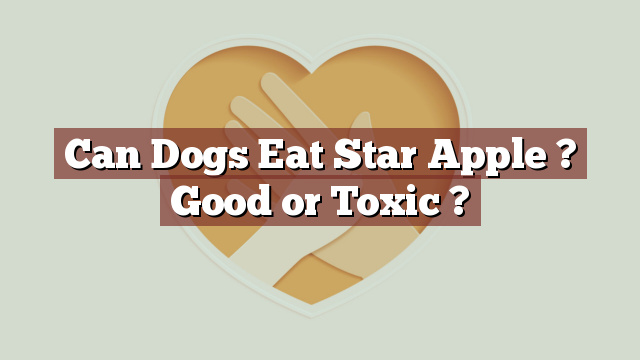 Can Dogs Eat Star Apple ? Good or Toxic ?