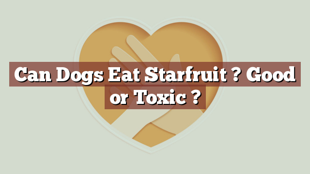 Can Dogs Eat Starfruit ? Good or Toxic ?