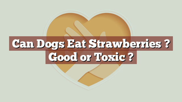Can Dogs Eat Strawberries ? Good or Toxic ?